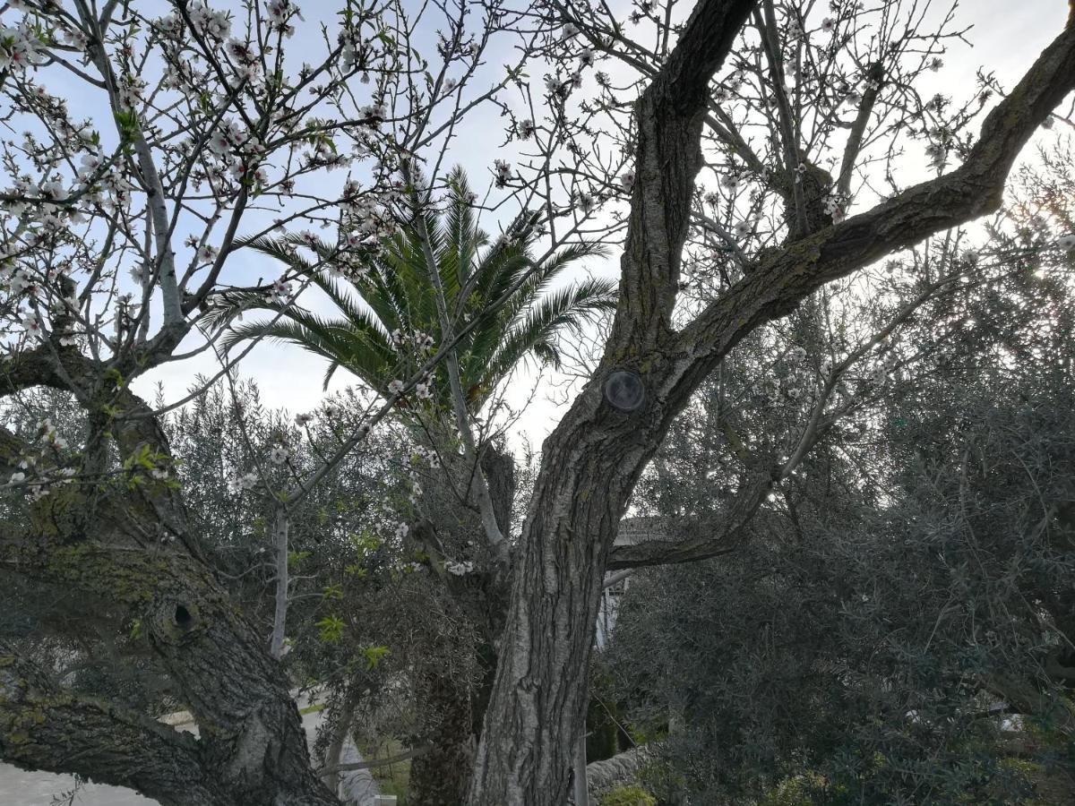 Casa Degli Avi Don Neli, Immersa Nella Natura Модика Экстерьер фото